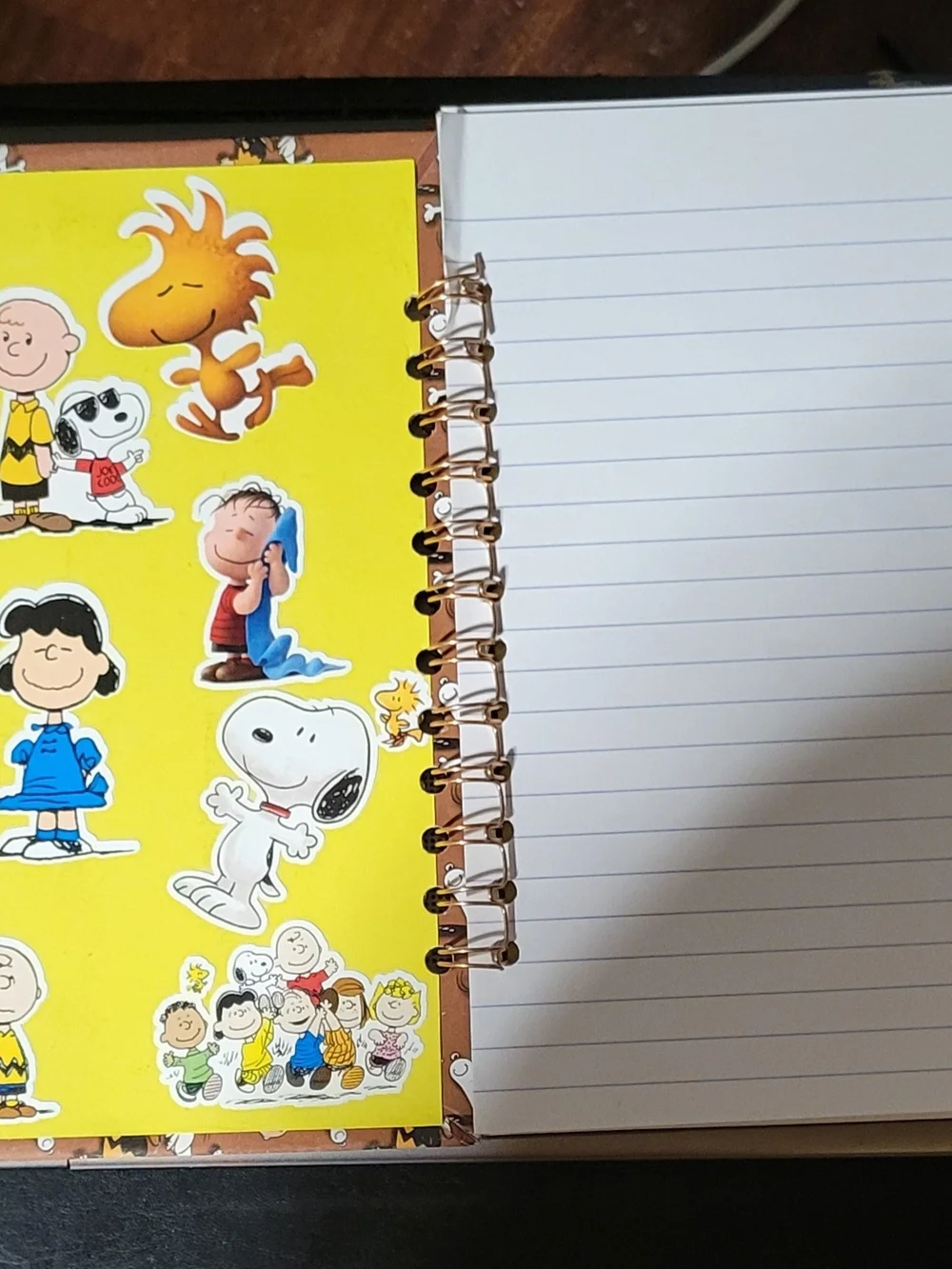 Handmade charlie brown notebook and accessories.